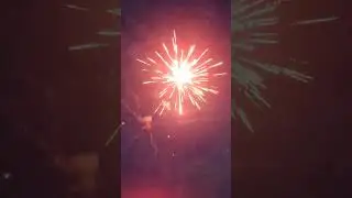 Nazgul 66 Shot Firework #500gcakes #pyro