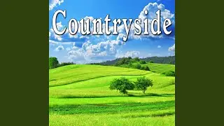 Night Time Countryside Sounds with Insects, Traffic & Birds