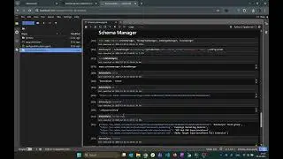 aepp : Schema Manager