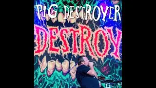 Pig Destroyer UNLEASH Chaos | Brutal Assault Festival 2025 [Live Performance]
