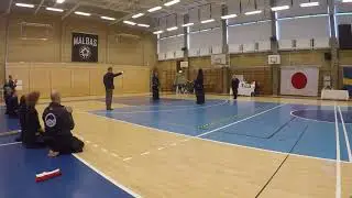 Sugo & Etsuko Cup 2018 Kyu final -  Norell (red) vs Nordin (white)