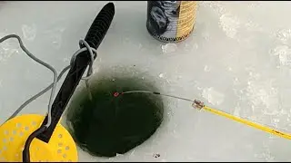 рыбалка на карася ловля зимой карася