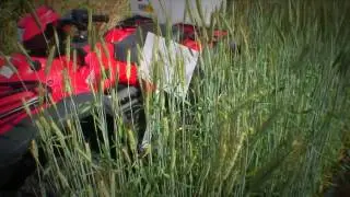 Game Fair Promo