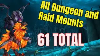 All DUNGEON AND RAID MOUNTS in World of Warcraft --- From Vanilla to the War Within