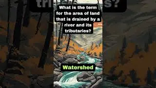 Potamology Quick Quiz #2