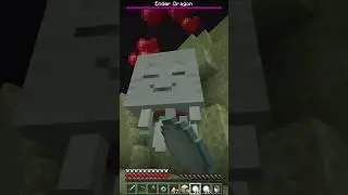 Bringing my happy ghast to the end :) #minecraft #ghastling #shorts #shortvideo #short