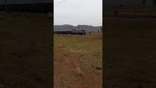 WAG7 full speed