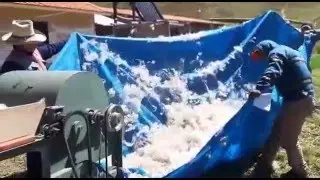 Uso de la escarmenadora o abridora electrica de fibra de alpaca