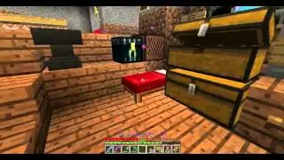 Minecarft Trolling with invisibility potion part 1