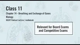 Chapter 14 - Breathing and Exchange of Gases | Class XI, Biology | NCERT Podcast Lecture | Audiobook