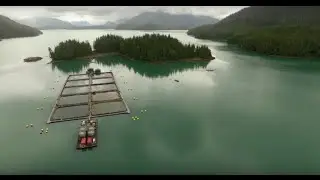 Clayoquot Sound: Behind the Bloom