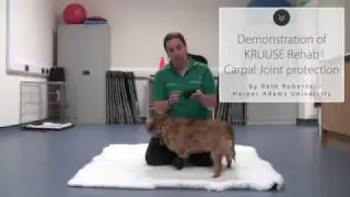 Demonstration of KRUUSE Rehab Carpal Protection
