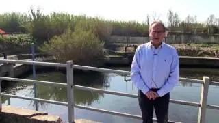 Pozzuoli | Elezioni Amministrative 2017  Spot Elettorale Umberto Mercurio | Ambiente