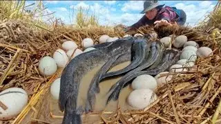 WOW AMAZING FISHING - a fisherwoman catch a lots of fish and eggs duck in the straw at rice field