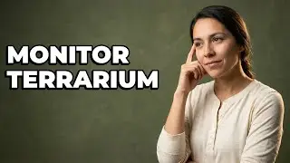 What Tools Are Needed For Terrarium Climate Monitoring?