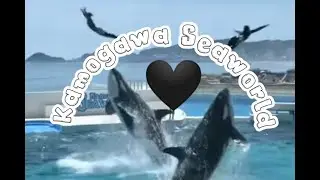 Killer Whale Show || •Kamogawa Seaworld•