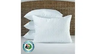 Margaritaville Set of 4 Bed Pillows  Parrot
