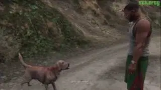 GTA 5 - PS3 - Strangers and Freaks Mission #21 - Uncalculated Risk [100% - Gold Medal]