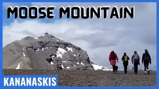 MOOSE MOUNTAIN Hike, Kananaskis (4K)