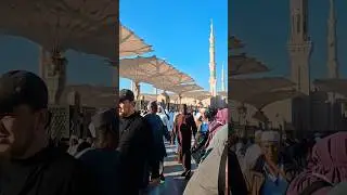 Ya Rabbal Alamin Allah Hu Allah | Madina Sharif ❤️🤲 #shorts #peace #islamicshorts #shortvideo #viral