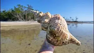 I SHELLED at a new spot, and you won't believe what I found!