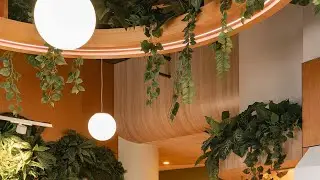 Barwon Health Central Geelong Mental Health Hub ClarkeHopkinsClarke