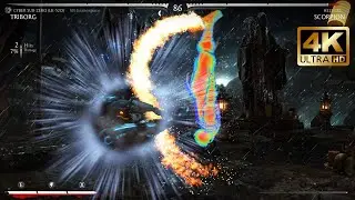 Triborg (Cyber Sub-Zero) vs Scorpian - Mortal Kombat X