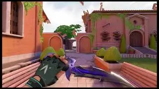 Reaver Knife Skin *Upgraded* VALORANT
