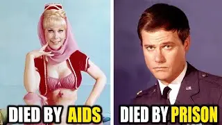 17 szeretett I Dream of Jeannie színész, akik tragikus módon elhunytak