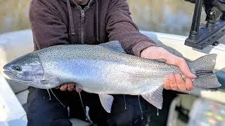 Plugging for Indiana Steelhead: December 2018 Preview