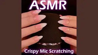 Rode NT55 Mic Scratching (No Covers)