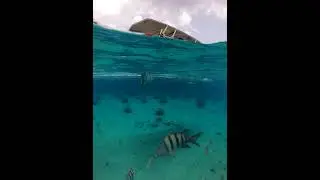 Clear boat-Snorkel-Arturo-Cozumel