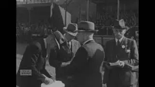 Fries Rundvee Stamboek, 1949