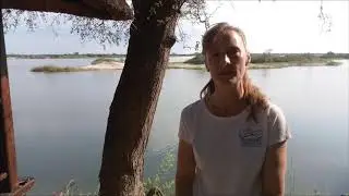 Elephant Utilization of the Kaifeng-Zambezi Wildlife Corridor of KAZA TFCA