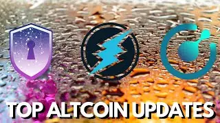 TOP ALTCOIN UPDATES | Electroneum, Komodo, Safe Haven | bitcoin news