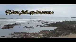 whale Whatching Tours in Pedasi Panama (1)