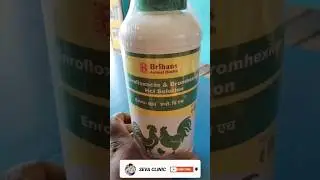 #poultryfarming #commoncold #Enro BH #Enrofloxacin #Bromhexine