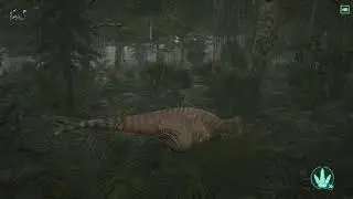 Dowe's hunting trip