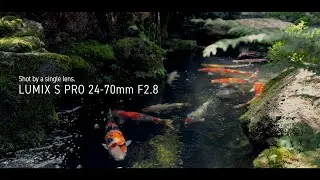 LUMIX S | LUMIX S PRO 24-70mm F2.8 (S-E2470) Lens Based on L-Mount System