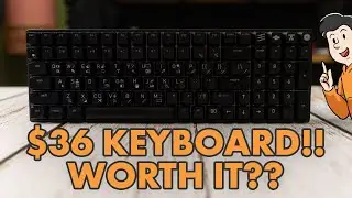 My $36 