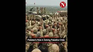 Pakistan's Role in Solving Palestine Crisis | Narratives TV