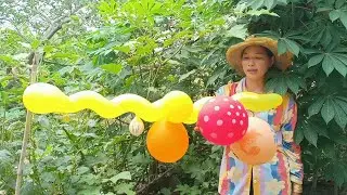 Inflating Rocket Balloon In Cassava Farm Morning, Holilife Show