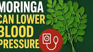 Benefits of Moringa leaves in reducing blood pressure 