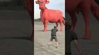 🐂Brown cow statue inside pink cow statue😊 P.1406 #shorts