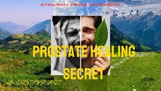 Soursop Leaves for Prostate Health: A Natural Remedy That Works!