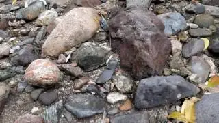looking for rhyolite of quality