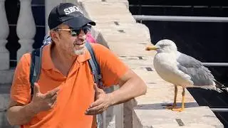 When Animals Catch Humans by Surprise in the Funniest Ways 🤪