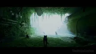 STRAY Gameplay - No Commentary [PS5 Stray Cat Game]