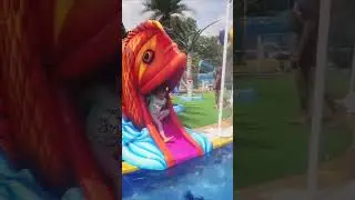 Pani me Mili itni badi machli #shorts