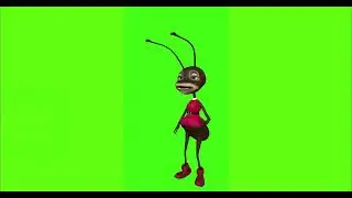 ANT #8 || GREEN SCREEN || 4k || ANIMATION  || FREE 3D